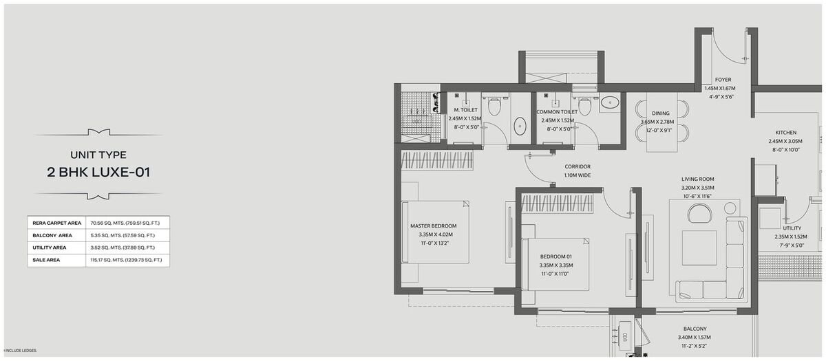 2 BHK Luxe-01 floor plan (blurred preview — enquire to view)